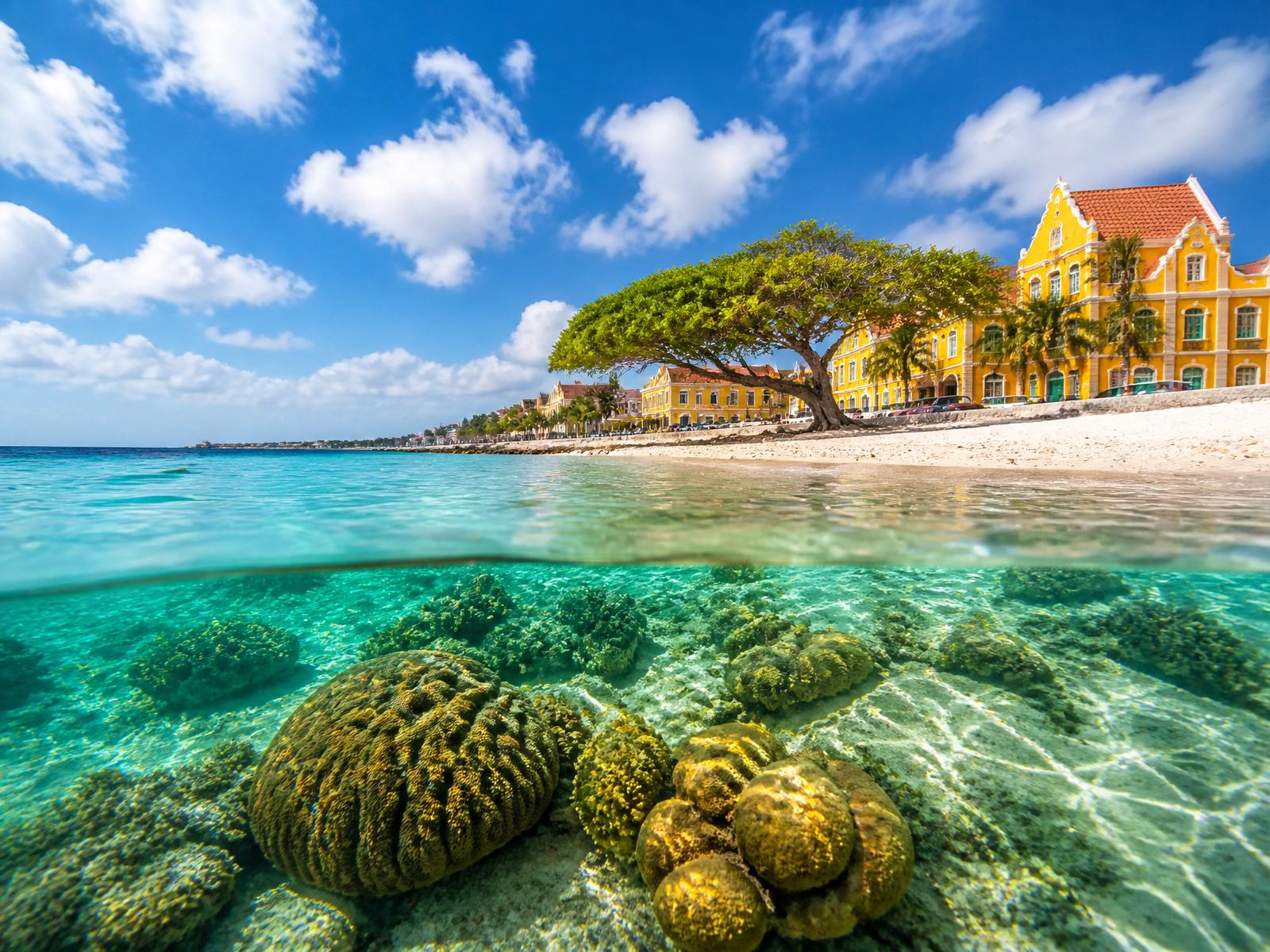 Coral reef beneath Kralendijk's waterfront on Bonaire — The shore-diving capital of the Caribbean.